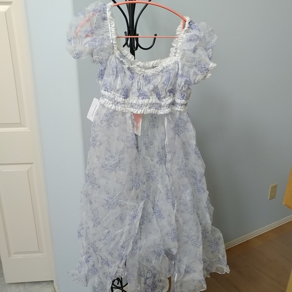 Selkie Bed & Breakfast Silk Gauze Boudoir Dress - 1X / NWT - Picture 6 of 9